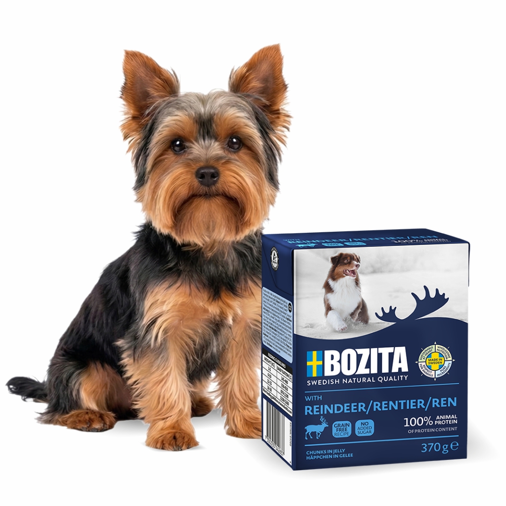 Karma Bozita renifer w galarecie dla psa 370g